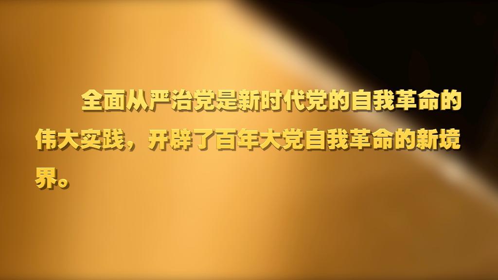 劃重點！十九屆中央紀委六次全會 習(xí)近平提出這些要求