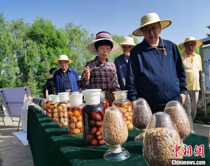 青海：利用冷涼氣候，打造高原綠色種業(yè)輸出地