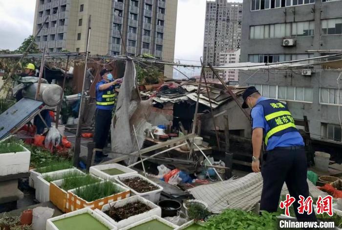 在一處居民樓屋頂，城管隊(duì)員拆除“空中菜園”。　金茜 攝