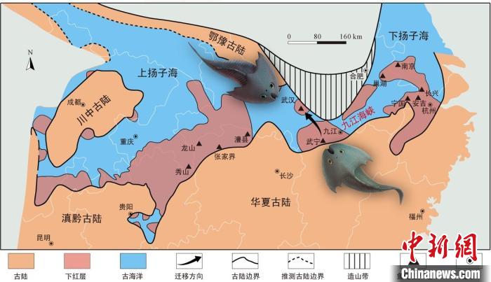 華南地區(qū)志留紀(jì)早期古地理圖和盔甲魚類化石產(chǎn)地(山顯任改自陳旭、戎嘉余，1996；戎嘉余等，2012) 中科院古脊椎所 供圖