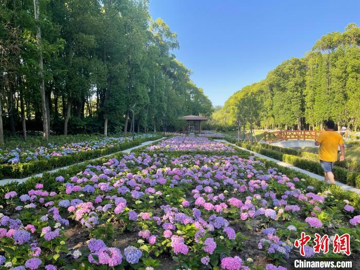 納民意、匯民智上海努力讓“公園城市”建設(shè)真正“合民心”