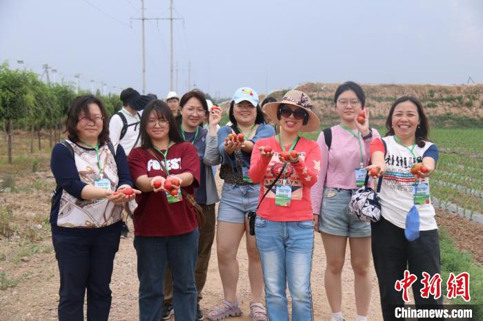 圖為臺(tái)胞體驗(yàn)大美內(nèi)蒙古?！⊥袐I供圖