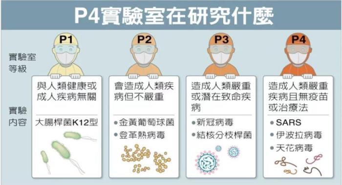 P4實(shí)驗(yàn)室在研究什么。臺(tái)灣聯(lián)合新聞網(wǎng)資料圖