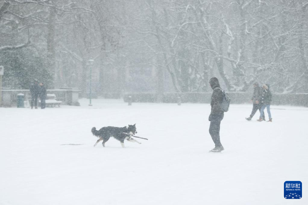 1月17日，在比利時布魯塞爾五十年宮公園，一名男子在雪中與小狗嬉戲。新華社記者 趙丁喆 攝