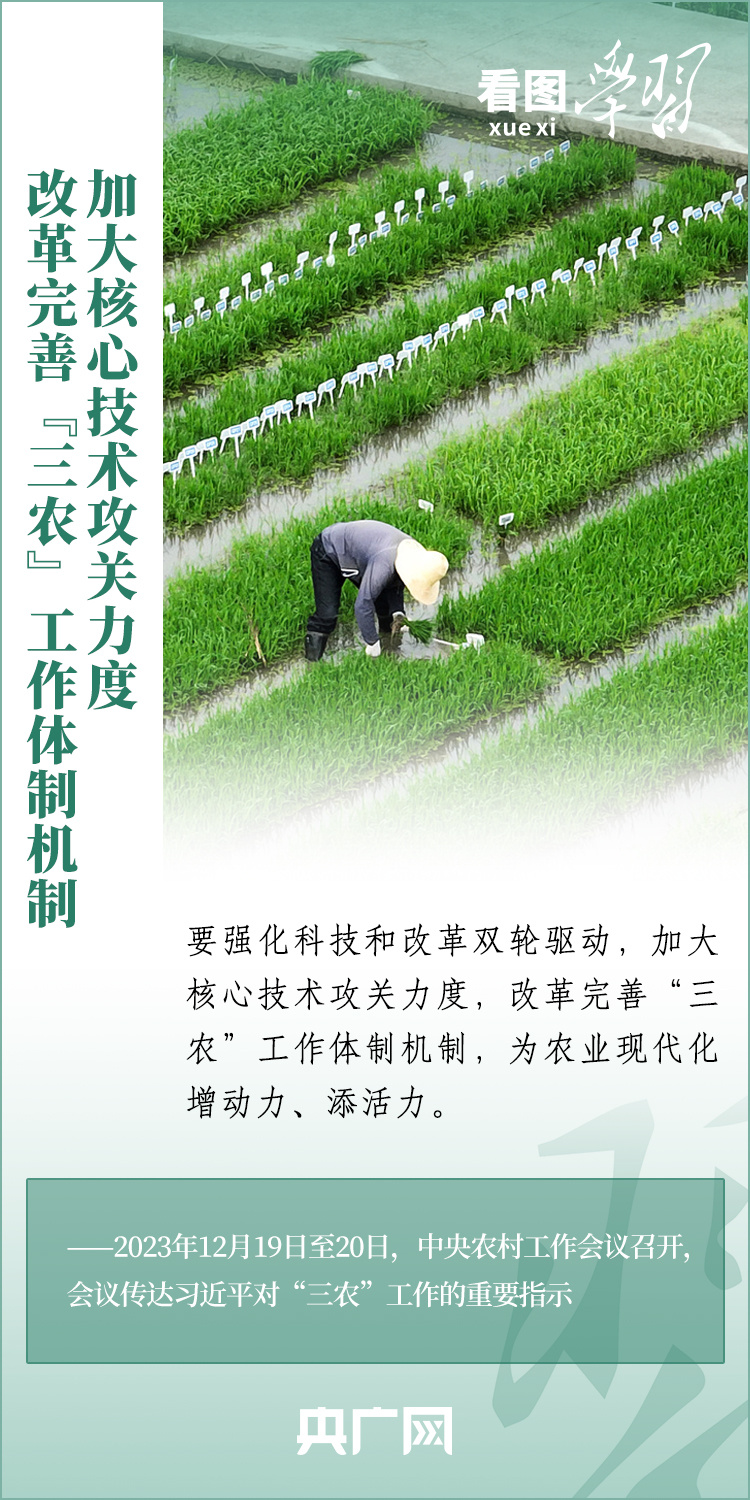 看圖學習丨推廣良田、良種、良法、良機 給農(nóng)業(yè)現(xiàn)代化插上科技的翅膀