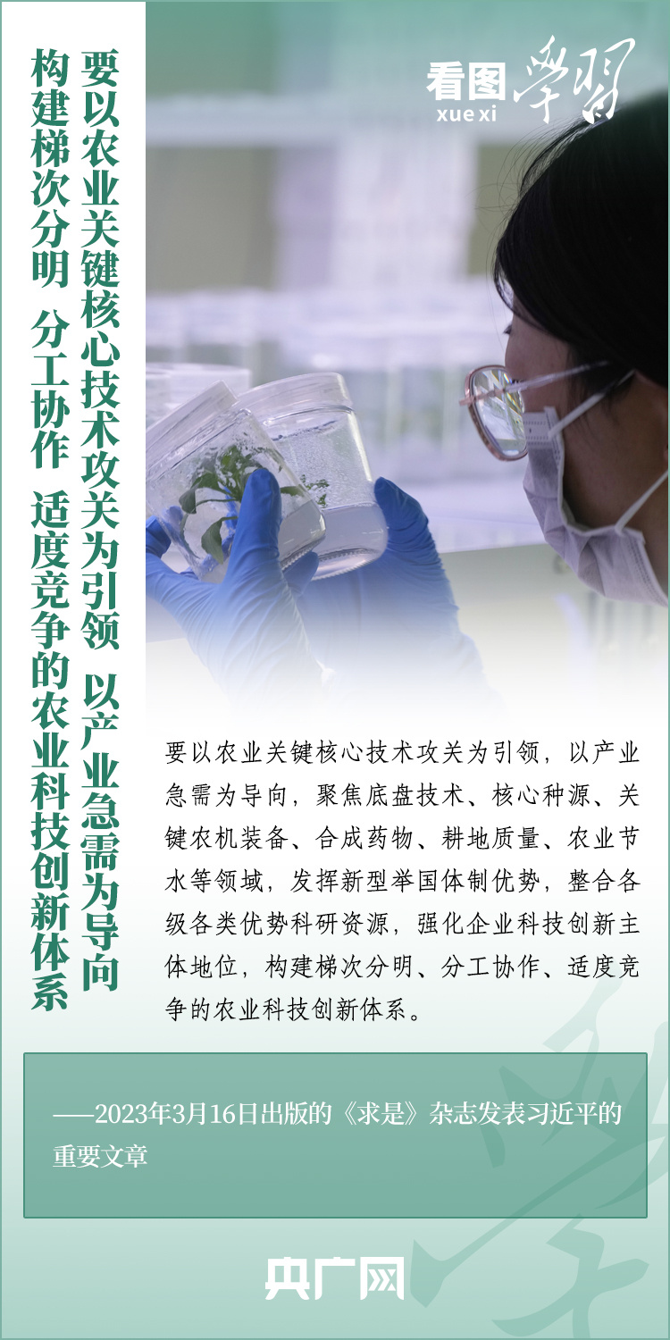 看圖學習丨推廣良田、良種、良法、良機 給農(nóng)業(yè)現(xiàn)代化插上科技的翅膀