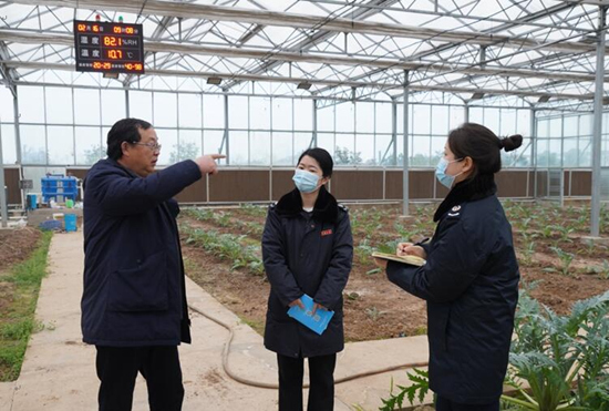 稅務干部走進常德市西洞庭管理區(qū)的朝鮮薊種植基地，宣傳稅費優(yōu)惠政策，助力農企搶農時、抓春耕、穩(wěn)增長。吳家豪攝