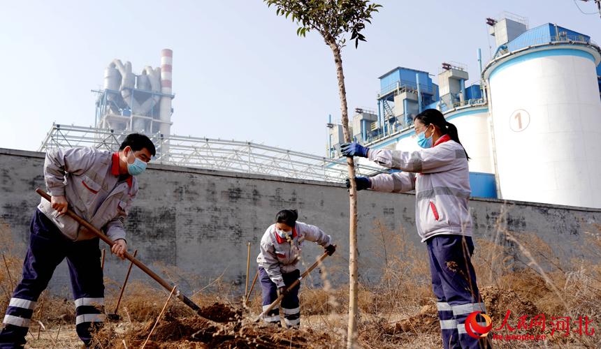 邢臺(tái)金隅職工在石邢公路沿線植樹。 宋繼昌攝