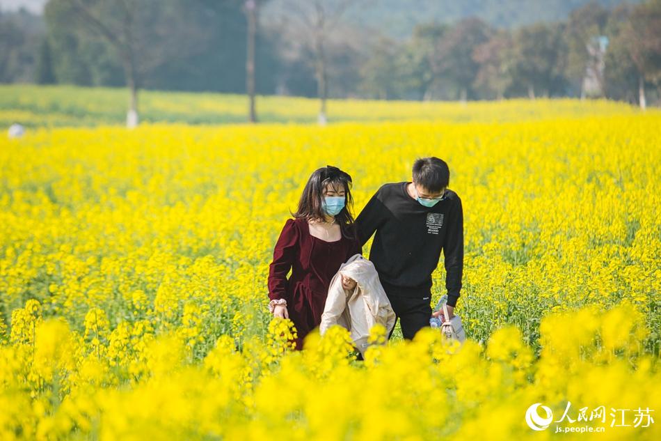 游客觀花賞景。劉列攝