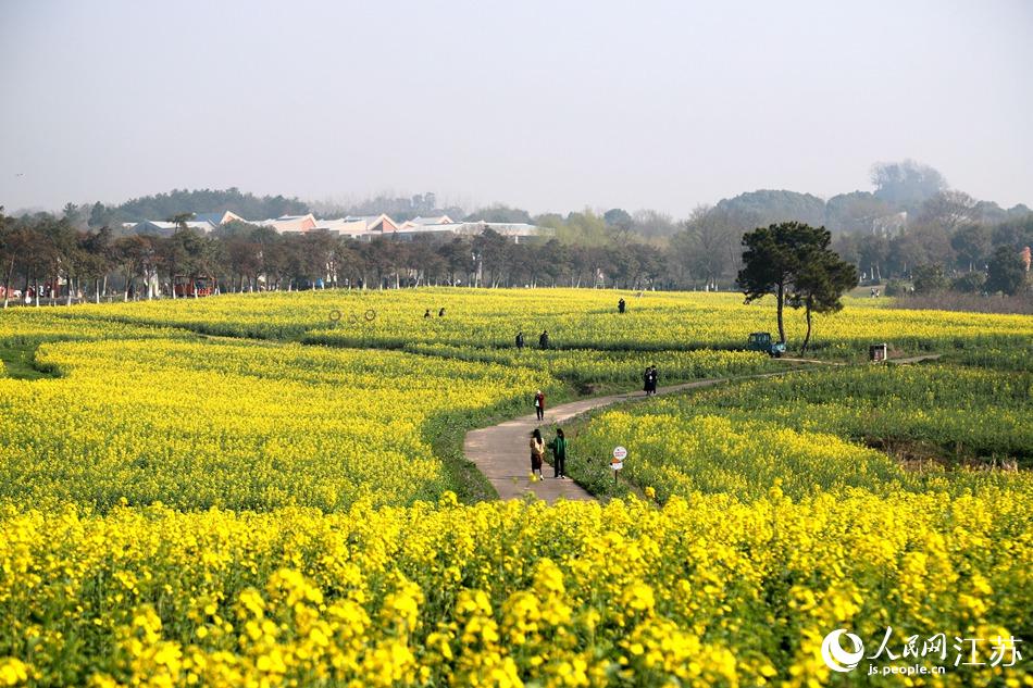 游客觀花賞景。高曉平攝