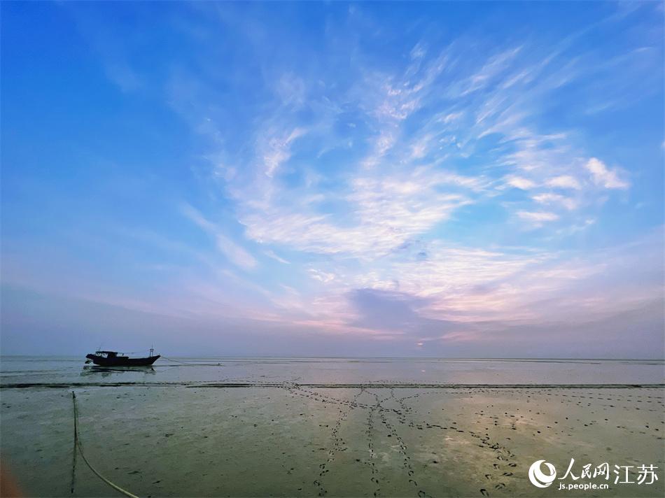 作為黃海濕地的一部分， 東臺(tái)條子泥是多種瀕危鳥(niǎo)類(lèi)遷徙期的棲息地。人民網(wǎng) 馬燾燾攝