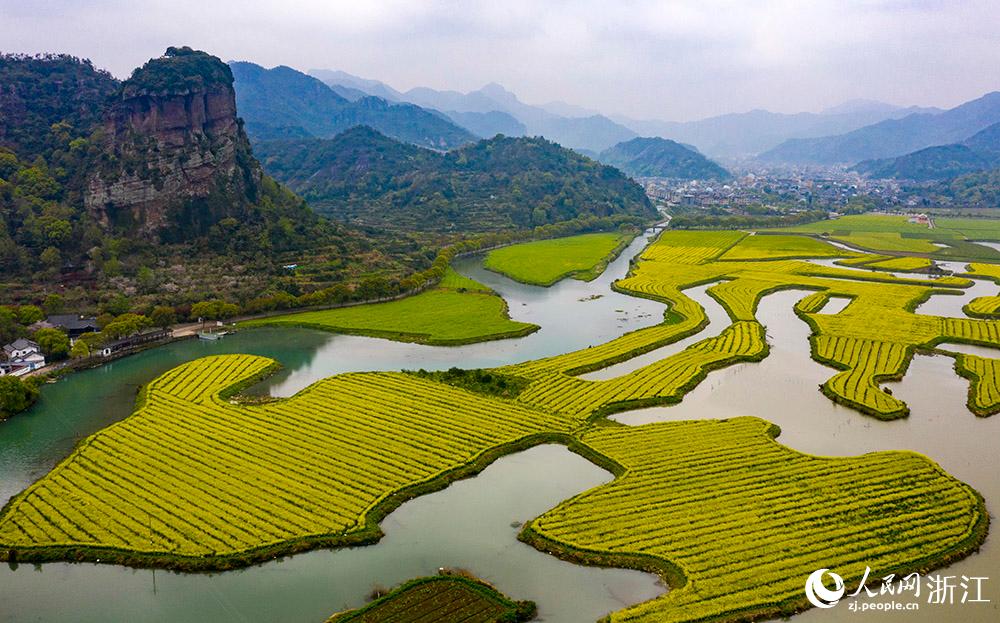 3月28日，航拍浙江省臨海市桃渚鎮(zhèn)桃江十三渚盛開的油菜花景色。人民網(wǎng) 章勇濤攝