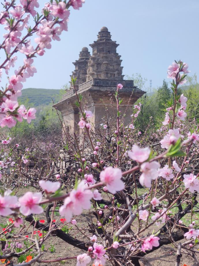 太原晉源區(qū)各大景區(qū)景點(diǎn)陸續(xù)恢復(fù)開(kāi)放【2】