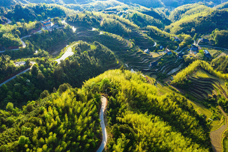 會(huì)同縣高椅鄉(xiāng)雪峰村的產(chǎn)業(yè)路盤旋在綠色的大山之間。田文國(guó)攝