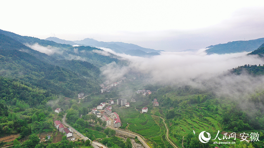 雨后的金寨大灣村，云霧環(huán)繞，宛如一幅田園山水畫卷。人民網(wǎng) 張俊攝