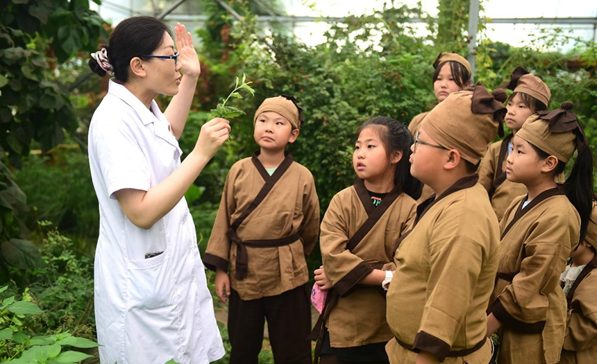 參加活動的孩子聆聽滄州市人民醫(yī)院國醫(yī)館中醫(yī)對中藥材的講解。 傅新春攝