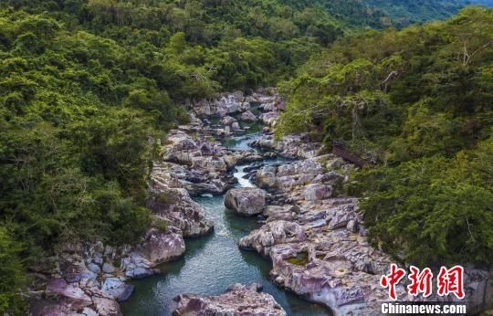 2018年海南生態(tài)環(huán)境狀況等級(jí)為“優(yōu)”，植被覆蓋率高，生物多樣性豐富，生態(tài)系統(tǒng)穩(wěn)定，圖為海南中部熱帶雨林。　駱云飛　攝