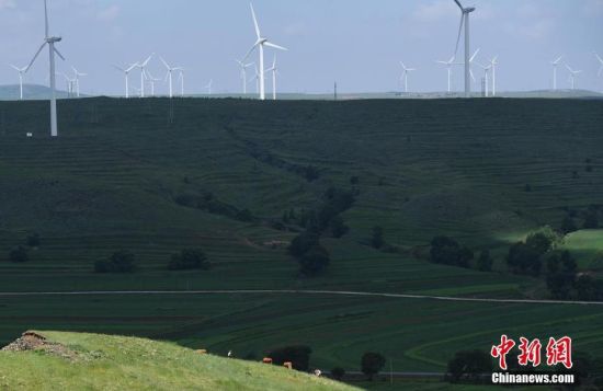 6月28日，河北張家口張北草原上大片風(fēng)力發(fā)電的“風(fēng)車”規(guī)模宏大。 中新社記者 楊艷敏 攝