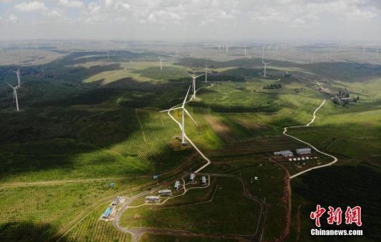 6月28日，河北張家口張北草原上大片風(fēng)力發(fā)電的“風(fēng)車”規(guī)模宏大。 中新社記者 楊艷敏 攝