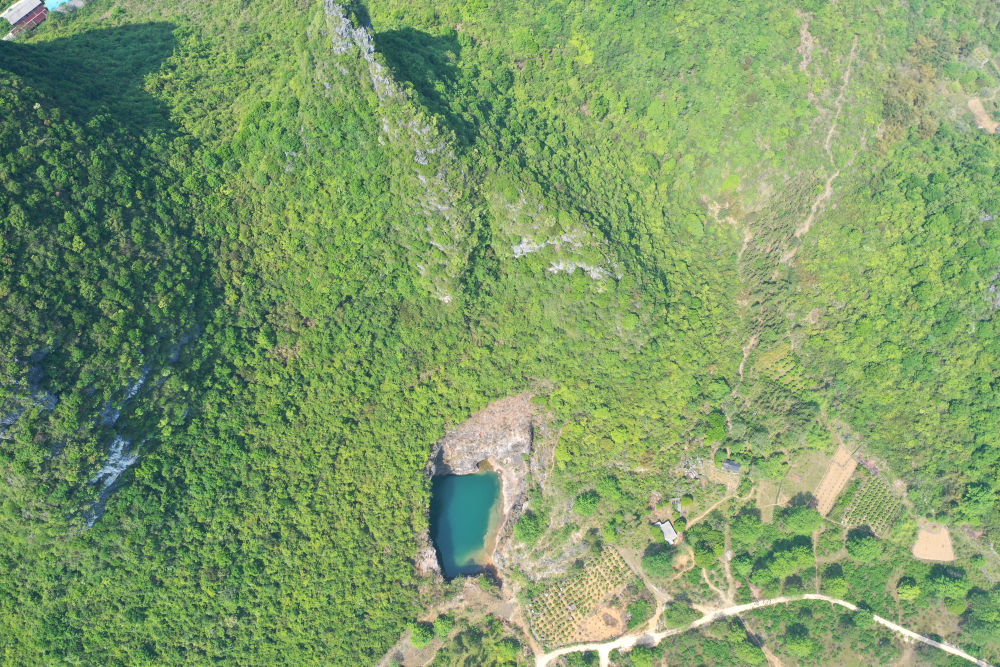 鏡觀·回響丨西部生態(tài)建設(shè)：以高水平保護支撐高質(zhì)量發(fā)展