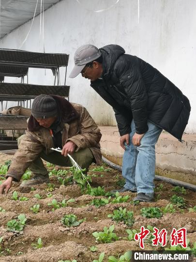 圖為尼瑪扎西(右)與西藏農(nóng)民聊天(資料圖)。西藏農(nóng)科院 供圖