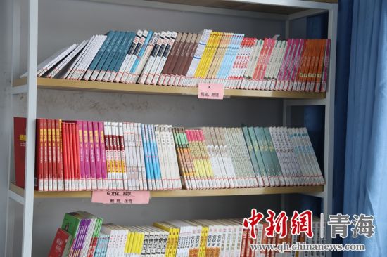 圖為“安康圖書館”項目為日月鄉(xiāng)哈城中心小學配置的圖書。張海雯攝