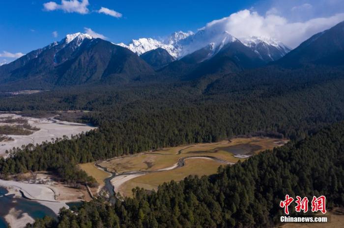 資料圖：西藏崗云杉林與遠處的雪峰。 何蓬磊 攝