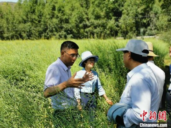 圖為九三學(xué)社青海省委主委杜德志(左一)在基層調(diào)研。受訪者供圖