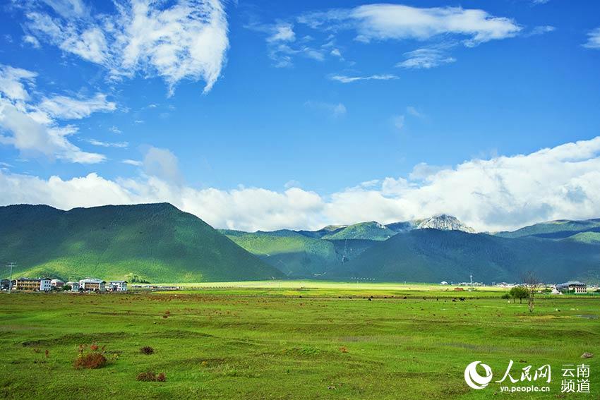 納帕海濕地風(fēng)景。呂昊辰攝