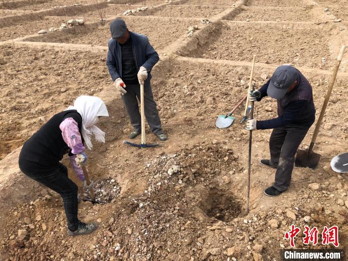 資料圖為建行青海省分行綠化區(qū)施工隊隊員處理亂石?！〗ㄐ星嗪Ｊ》中泄﹫D