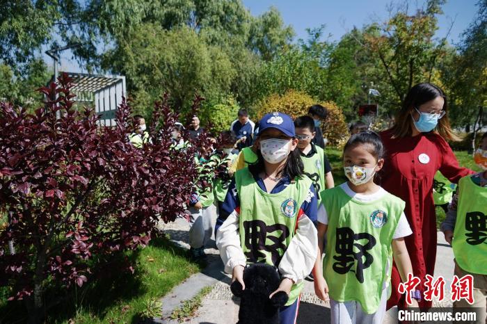 圖為小朋友在青海西寧湟水國家濕地公園內(nèi)認識植物。　馬銘言 攝