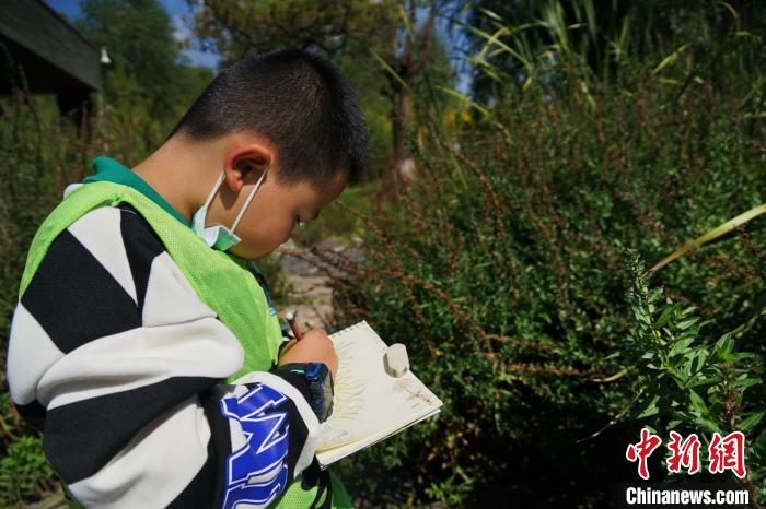 圖為小朋友在青海西寧湟水國家濕地公園內(nèi)認識植物并進行繪畫。　馬銘言 攝