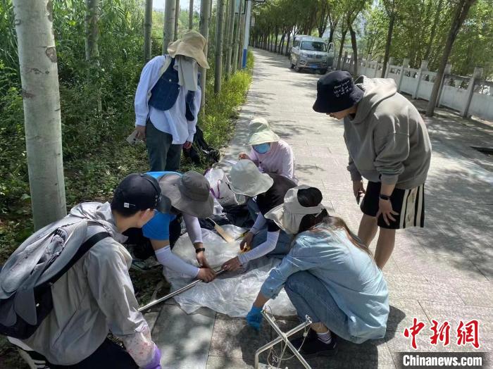 圖為科研人員正在進(jìn)行監(jiān)測。　西寧湟水國家濕地公園供圖