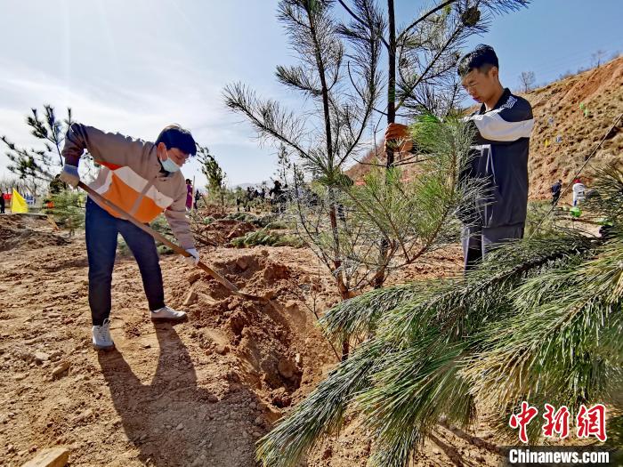 圖為西寧市城東區(qū)義務(wù)植樹活動(dòng)現(xiàn)場(chǎng)?！?zhí)砀?攝