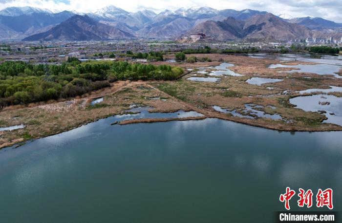 圖為拉薩拉魯濕地。(無人機照片) 李林 攝