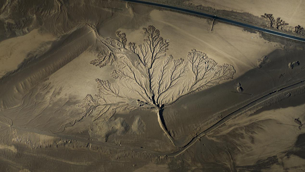 無人機視角下的西藏阿里地區(qū)改則縣“大地之樹”景觀。尼瑪多吉攝