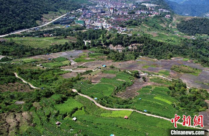 圖為西藏林芝市墨脫縣城附近的茶田。(無(wú)人機(jī)照片) 李林 攝