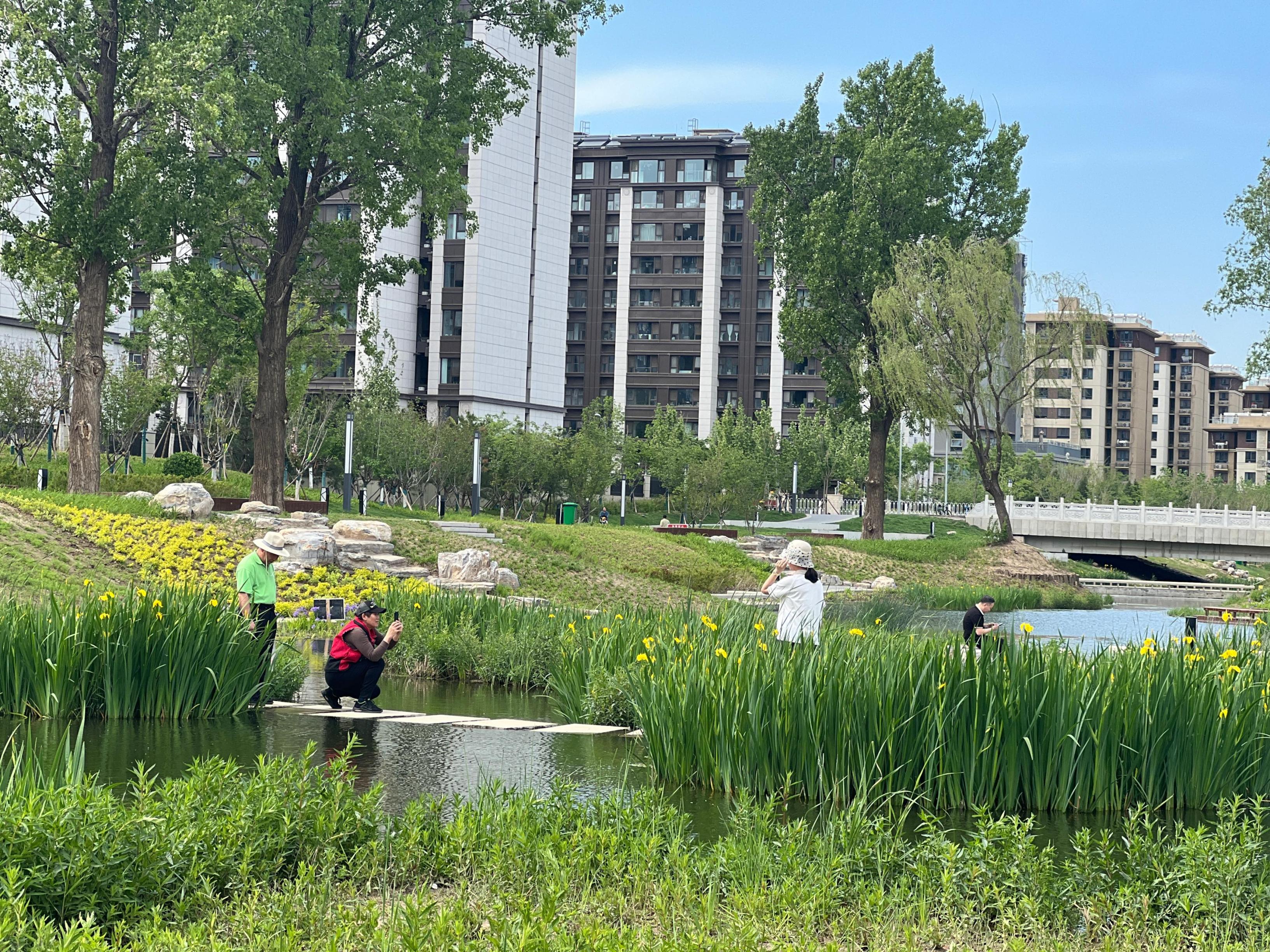 五一渠生態(tài)濱河公園內(nèi)，市民正在拍照留念。人民網(wǎng) 歐陽易佳攝