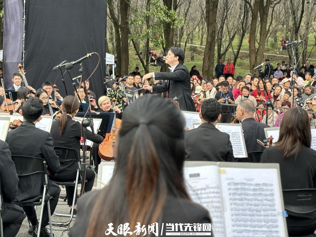 貴陽(yáng)路邊音樂(lè)會(huì)·貴安櫻花園專場(chǎng)交響樂(lè)現(xiàn)場(chǎng)。丁亞 文丹 攝