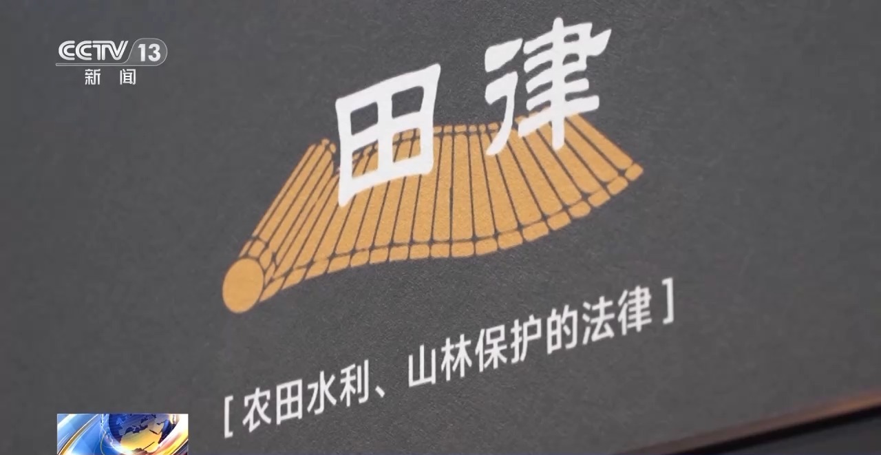 文化中國行丨最早的法典、家書、乘法表……千年簡牘中讀懂歷史的“大事件”“小細節(jié)”