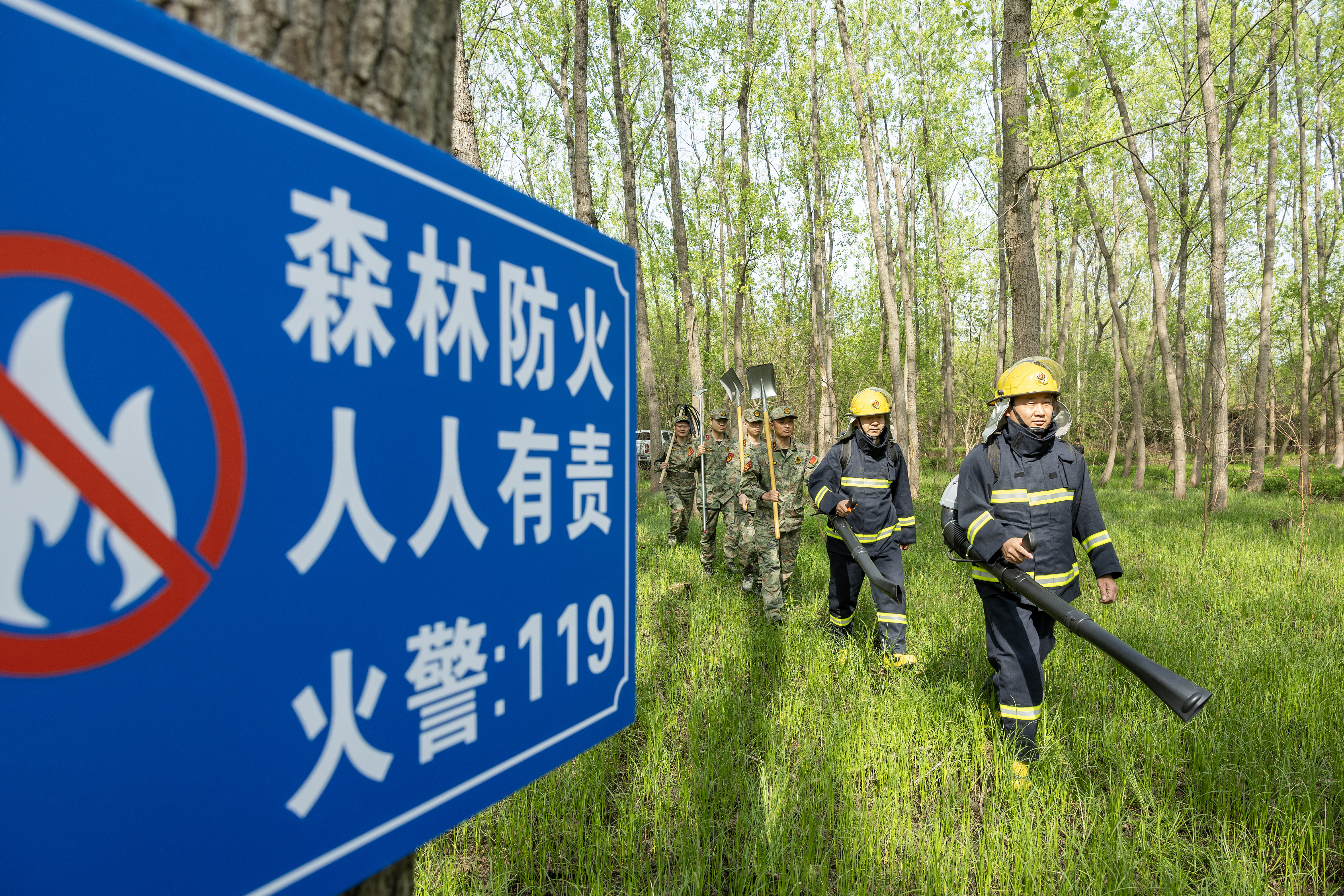 2024年4月9日，合肥市大房郢水庫水源保護(hù)地廬陽經(jīng)濟(jì)開發(fā)區(qū)段，基干民兵正在林間巡查火災(zāi)隱患。