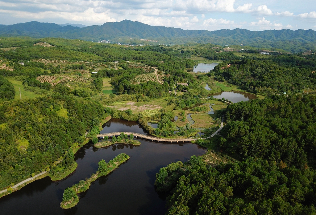 福建省龍巖市長(zhǎng)汀縣的長(zhǎng)汀汀江國(guó)家濕地公園景色（2020年7月28日攝，無(wú)人機(jī)照片）。新華社記者 魏培全 攝