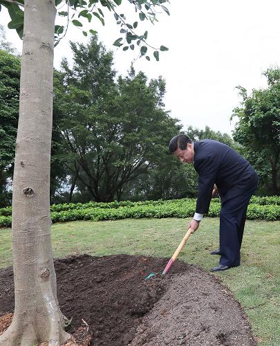 2012年12月7日至11日，習(xí)近平在廣東省考察工作。這是8日上午，習(xí)近平在深圳蓮花山公園種下一棵高山榕樹。新華社記者 蘭紅光 攝