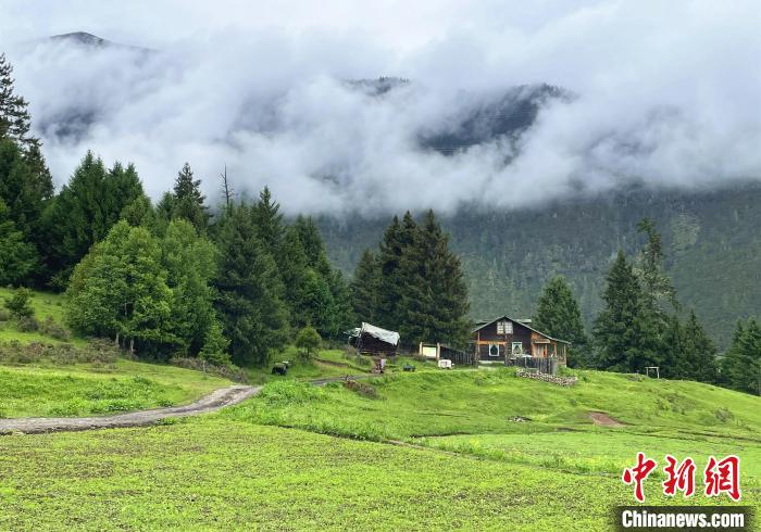 6月10日，魯朗小鎮(zhèn)高山牧場(chǎng)景區(qū)風(fēng)光。　冉文娟 攝