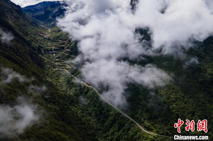 西藏山南勒布溝景區(qū)的盤山公路被云霧環(huán)繞。　江飛波 攝