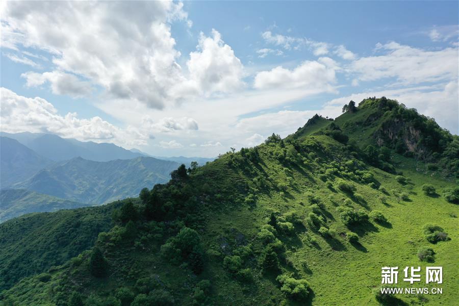 （新華視界）（3）甘肅舟曲：夏日藏鄉(xiāng)畫中景