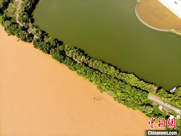 圖為2020年9月3日航拍黃河蘭州段濕地公園現(xiàn)黃河“鴛鴦鍋”。(資料圖) 高瑩 攝