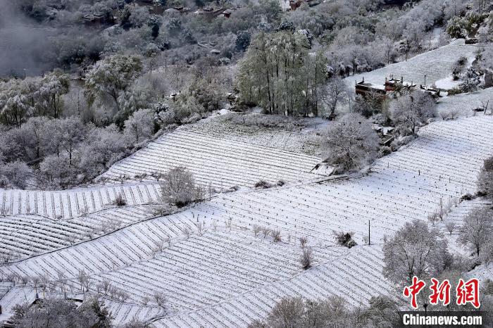 雪后的高山田間如畫?！±钣腊?攝