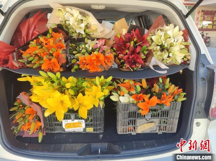 剛剛采摘下來(lái)的百合花?！∪捞量h委宣傳部供圖