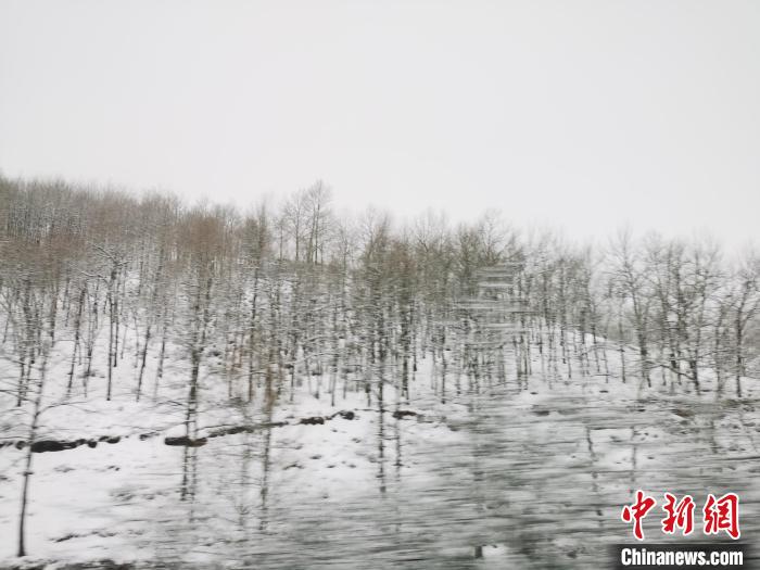 圖為青海青沙山區(qū)域被降雪覆蓋?！?zhí)砀?攝